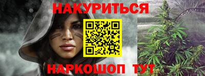 прущие грибы Бийск