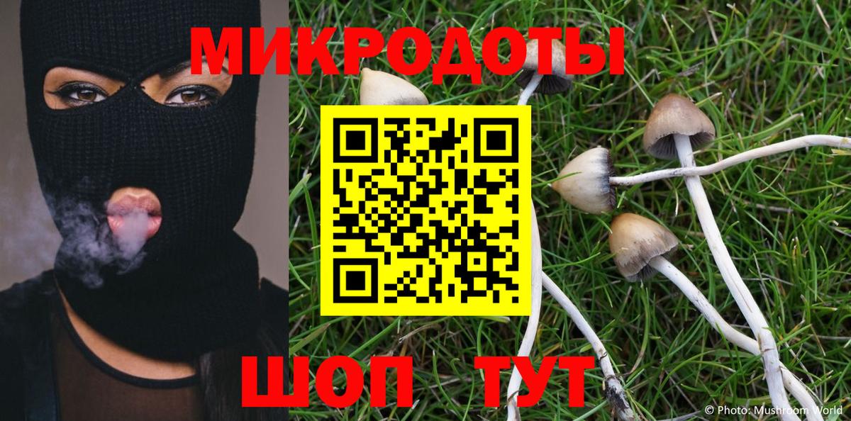 купить наркотик  Вход с VPN  Касимов  Псилоцибиновые грибы мицелий 